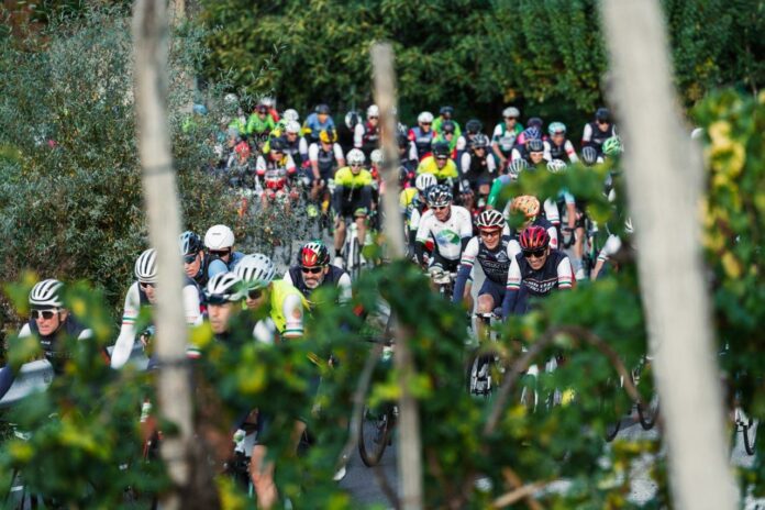 Prosecco Cycling_Tra i vigneti_b