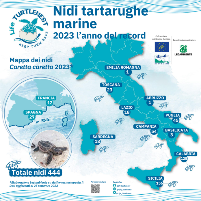 cartina_turtlenest ottobre 2023.pdf