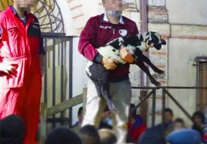 riffa agnelli per siti