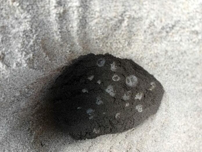 Uova Marciana Marina 1