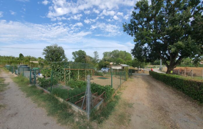 Orti anziani Riccione luglio 2024 2