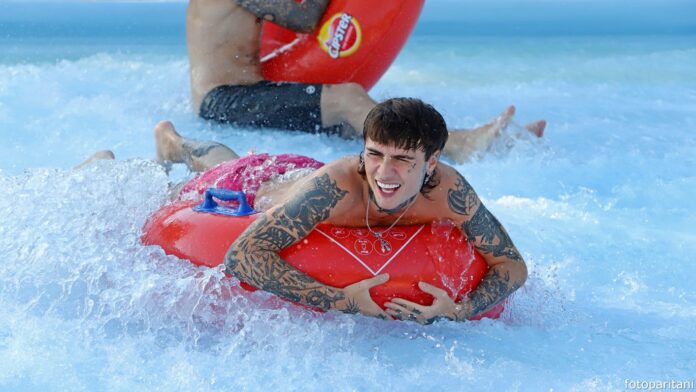 Rosa Chemical Surfing