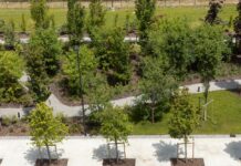Isole di calore. Meno asfalto, più alberi: così le città italiane possono perdere 4 gradi