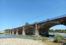 PONTE STRETTO: WWF, COMMISSARIO STRAORDINARIO SAREBBE ENNESIMA FORZATURA