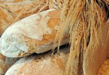 Oropan rafforza la sostenibilità della filiera, ricavi salgono a 48,5 mln