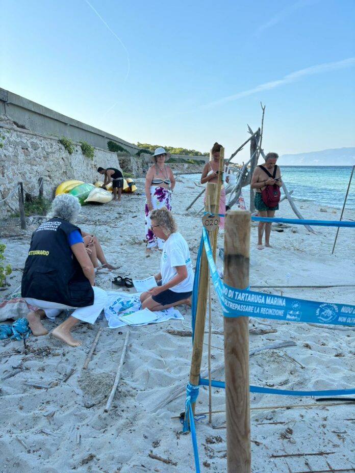 Nido Puanosa 1 uova 2