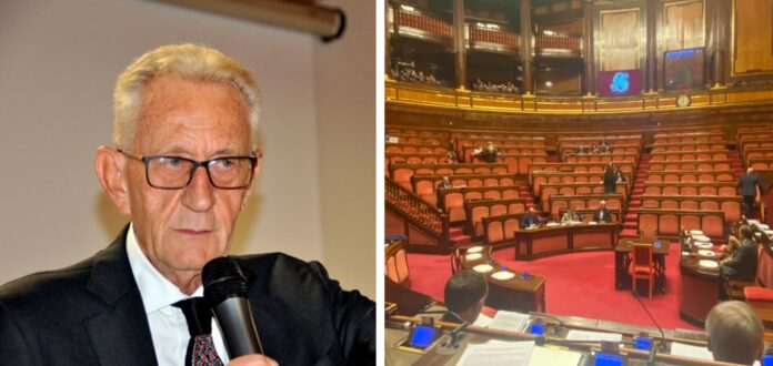 20240926_142727-COLLAGE