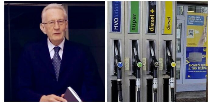 20241010_122530-COLLAGE