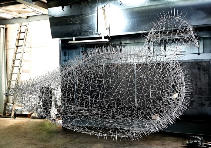 Piccione Acciaio copia