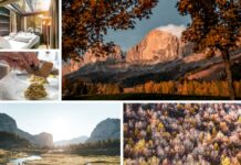 Airbnb: Sagre d’Autunno, si accende la voglia di partire (+25% di ricerche)