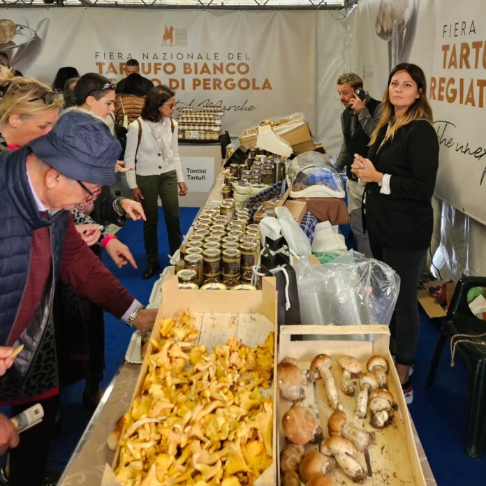 fiera tartufo pergola casa tartufo 2024