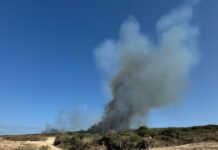 BOARD OF PEACE, ATIONAID: “Quello che viene definito un incontro per la pace rischia di diventare un altro modo per ripulire l’immagine del genocidio in corso”