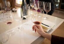 I Press Notizia 15 apr 2026 Viaggi in vigna: la Sicilia al Vinitaly punta sul wine travel