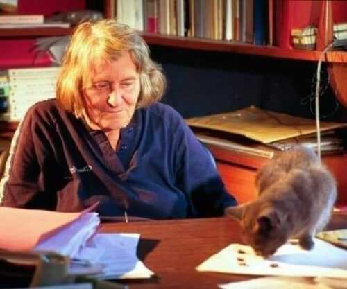 465672505_861356262876584_2446763432002380658_n