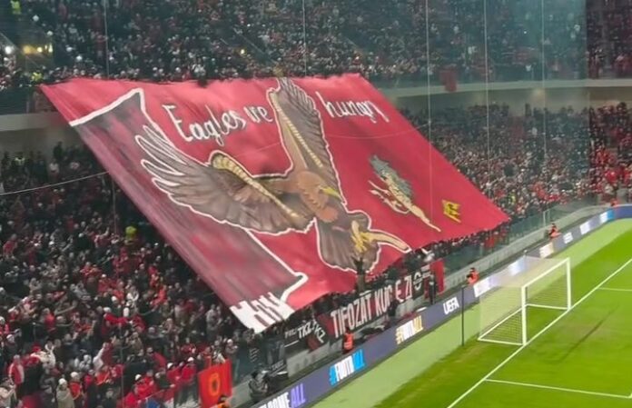 Screenshot_20241117-022225