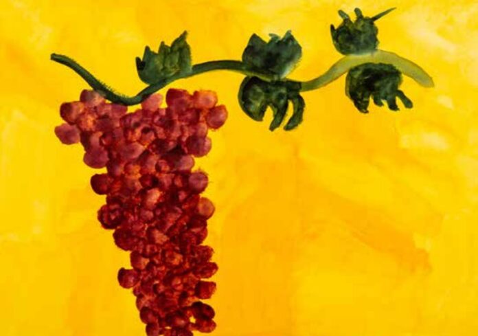 I-colori-delle-Emozioni-Catalogo-2-13_page-0001-2