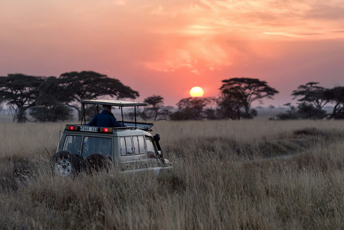 KIBO_-_Sudafrica_-_Safari_B