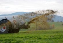 Danni all’agricoltura da maltempo d’agosto