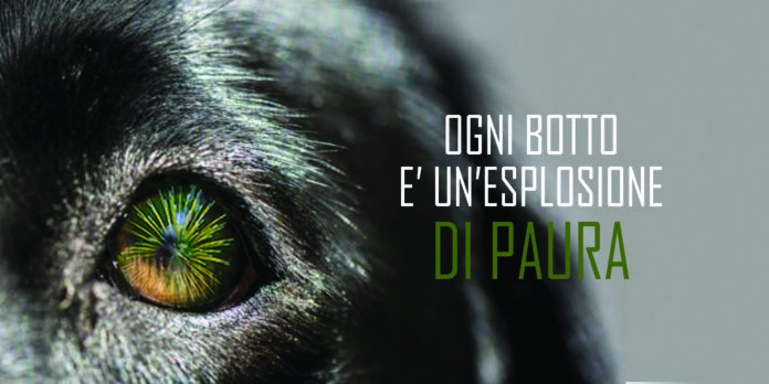 botti di capodanno cane