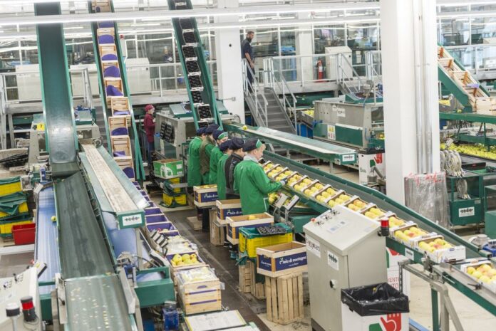 Mele-una-sala-di-lavorazione_imagefullwide