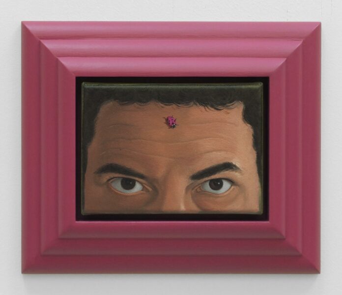 PdM_Amuleto (Coccinella Magenta)