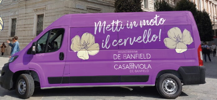 Pulmino viola de Banfield4