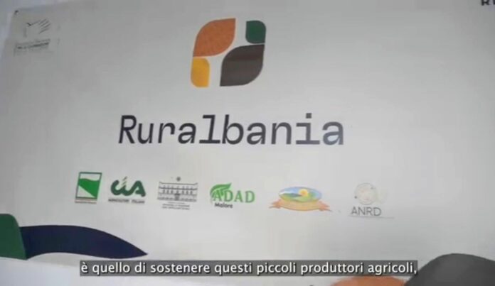 Screenshot_20250104-044449