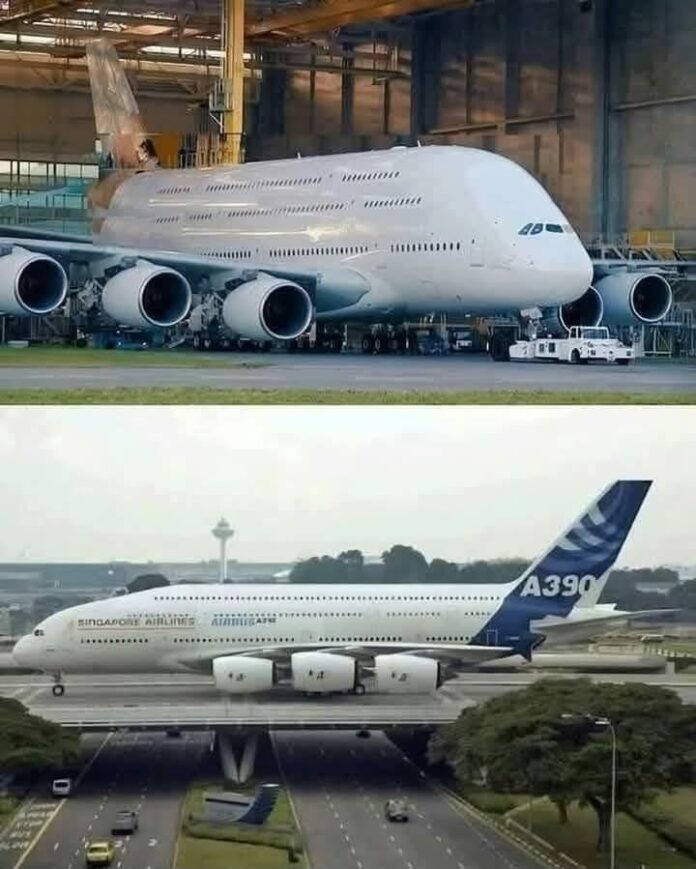 475504140_1160246409054755_8487205181473088498_n