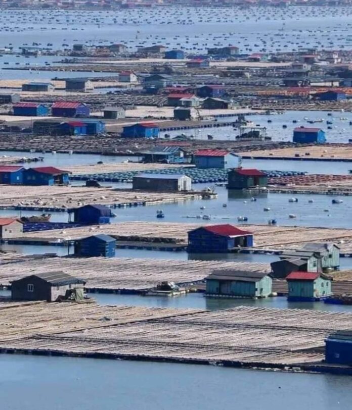 478681392_10234182264208908_8099959794215942478_n