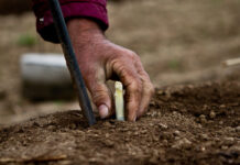 Sicurezza in agricoltura, Confai: positivo il coordinamento istituzionale, decisivi gli sviluppi operativi