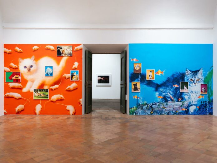 Chromotherapia_preview_14 Daniele Molajoli (15)