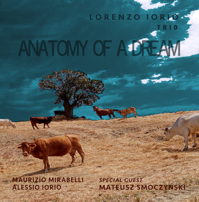 Cover_Anatomy of a Dream