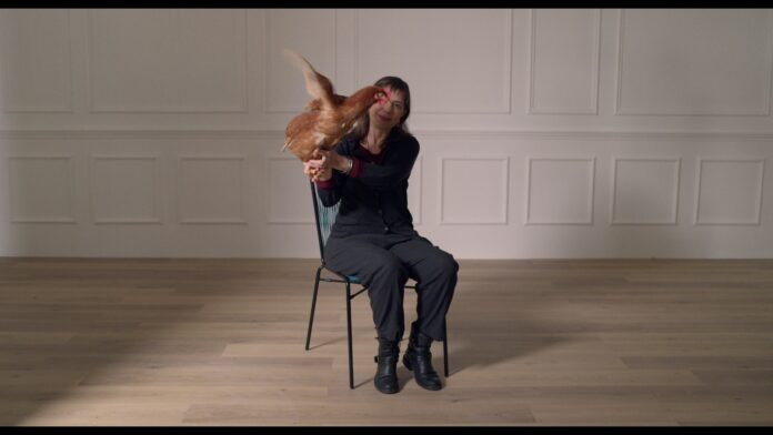 Occhio della gallina_film (2)