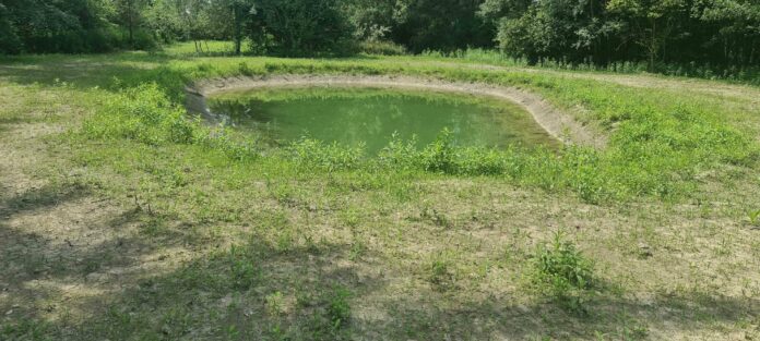 laghetto dopo la semina_repertorio_1