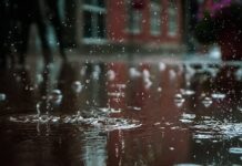 Pioggia e neve tra giovedì e venerdì, poi anticipo di primavera