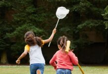 Bambini a caccia di alberi e adulti in ascolto di fiabe