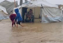 𝐐𝐮𝐚𝐥𝐜𝐮𝐧𝐨 𝐝𝐢𝐫𝐚̀ 𝐜𝐡𝐞 𝐢𝐥 𝐏𝐚𝐩𝐚 𝐟𝐚 𝐩𝐨𝐥𝐢𝐭𝐢𝐜𝐚