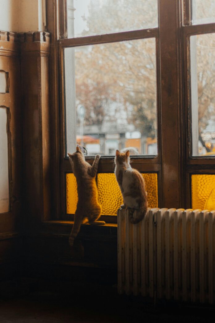 pexels-riscaldamento