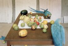 Il Teatro dell’architettura Mendrisio dell’Università della Svizzera Italiana riapre dopo la pausa invernale