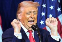 Le democrazie sono più forti dei bulli