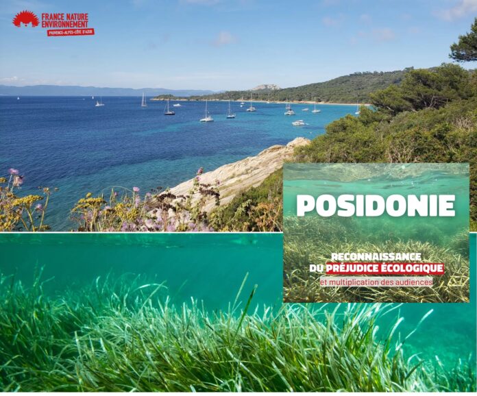 Posidonia Francia