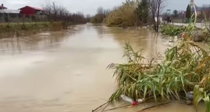 Screenshot_20260106-143933