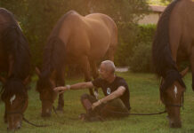 Dove la natura è poesia