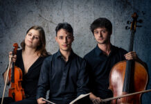 Atelier Musicale: pagine di Smetana, Shostakovič e Sollima con il Trio Bedrich