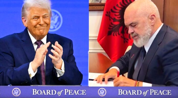 Polish_20260218_214816967~2