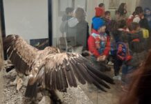 Si concludono i Centri invernali “green” di San Roberto e Scilla