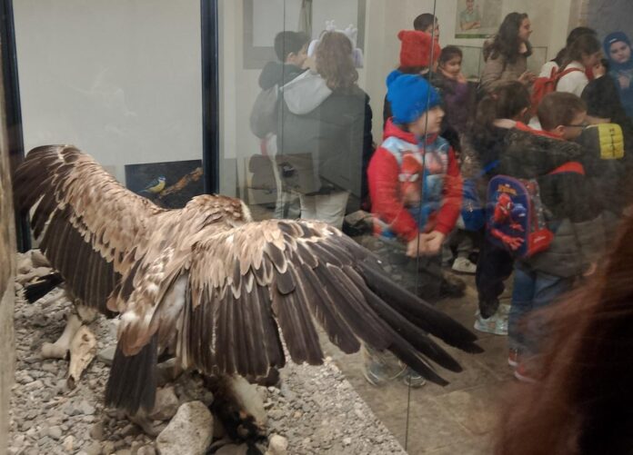 centri invernali per ragazzi 1