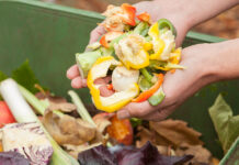 Coldiretti: in Basilicata ogni giorno il 60% del cibo viene sprecato nelle case