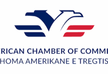 CCIA AMERICANA: “E-ALBANIA, MISURE CORRETTIVE IMMEDIATE PER LA CONTINUITÀ DEI SERVIZI DIGITALI”