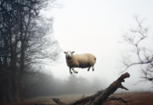 Tallulah Studio Art presenta Phillip Toledano, Another England